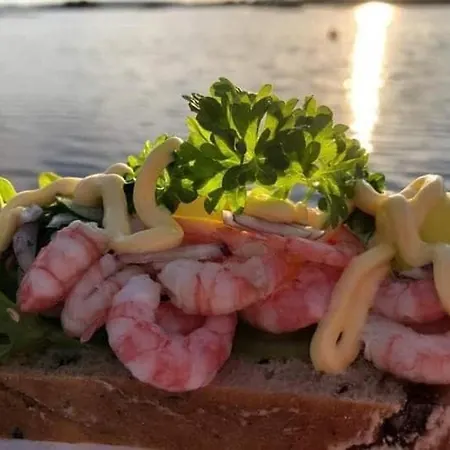 别墅 New By The Sea In Hervik, And Boat