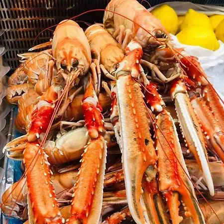 New By The Sea In Hervik, And Boat *