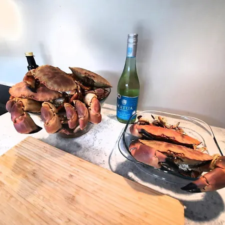 别墅 New By The Sea In Hervik, And Boat *