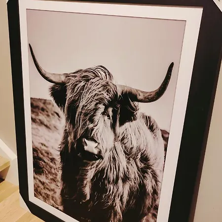 New By The Sea In Hervik, And Boat *